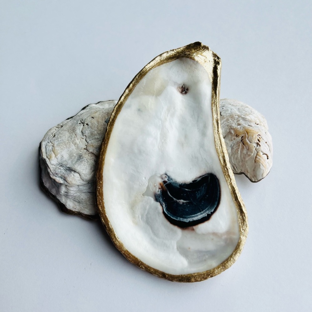 Handmade Natural Oyster Shell Ring/Trinket Dish with Painted Gold Trim
